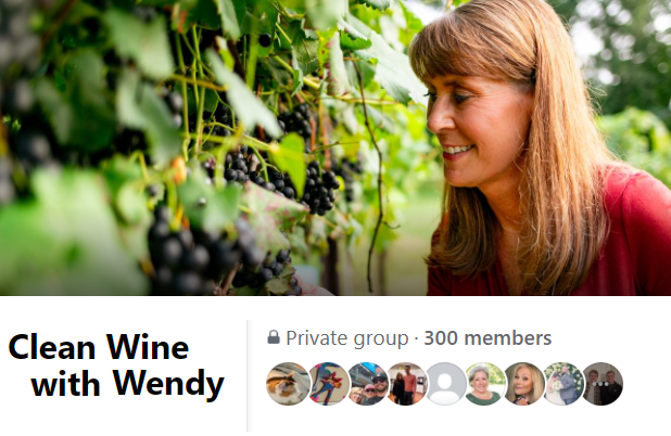 Thumbnail of Facebook Group called "Celan Wine With Wendy" including cover photo of Wendy Kelley in a vineyard and Facebook group icons showing over 300 group members